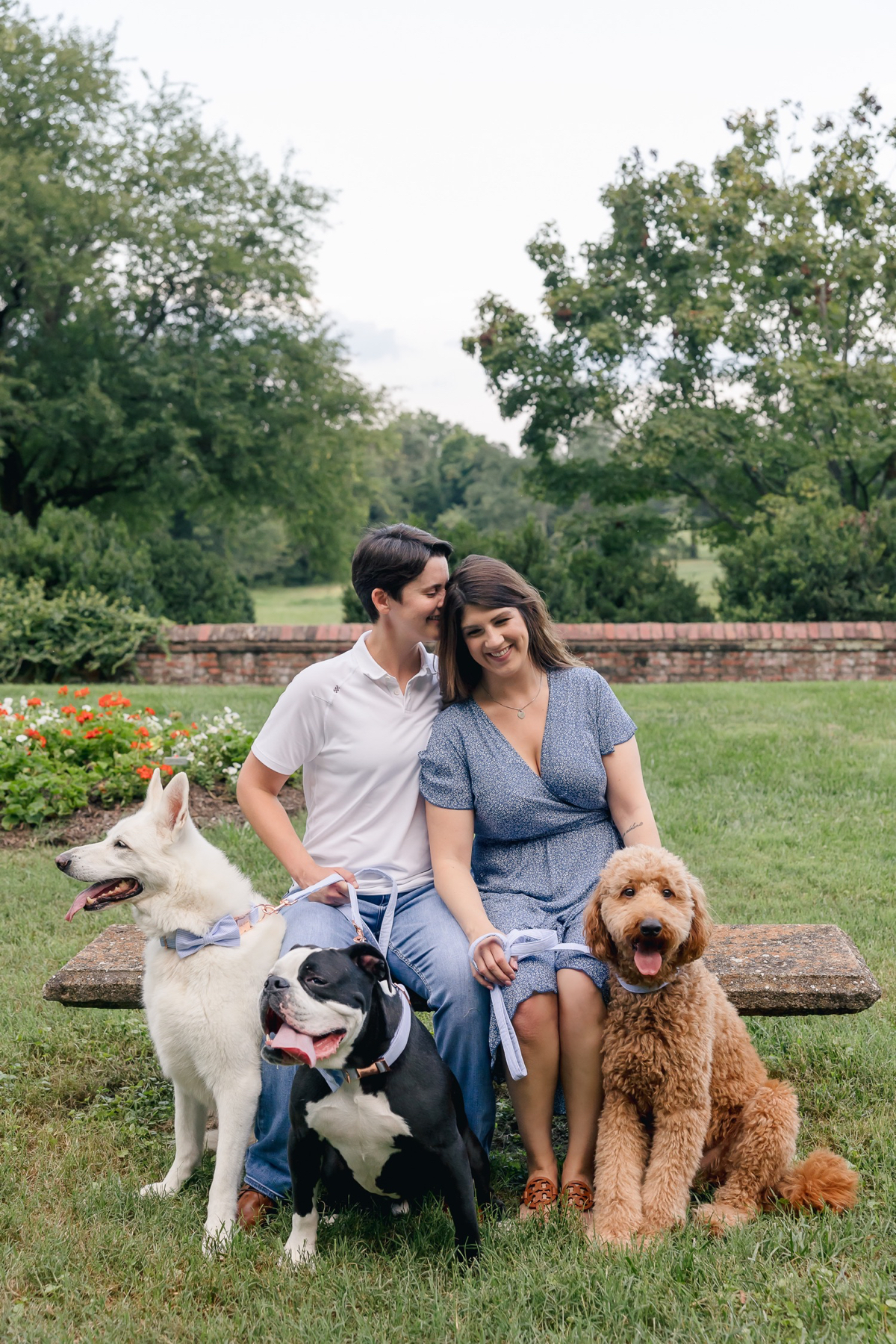 Couple sitting on bench surrounded by three dogs at engagement session