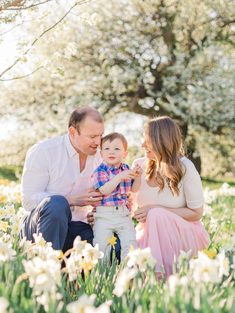 spring family session daffodils